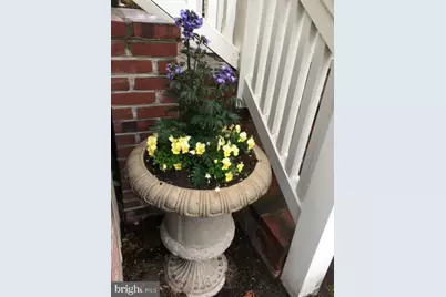 101 Mulberry Street, Saint Michaels, MD 21663 - Photo 45