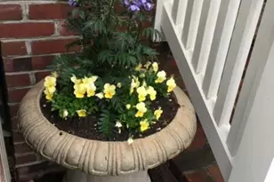 101 Mulberry St, Saint Michaels, MD 21663 - Photo 45