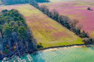 8612 Tilghman Island Rd, Wittman, MD 21676 - Photo 75