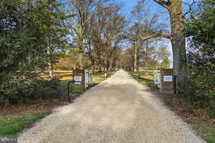 8612 Tilghman Island Rd, Wittman, MD 21676 - Photo 3