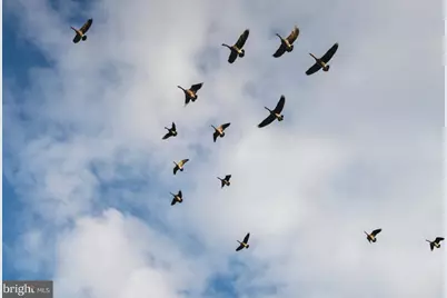 2669 Ocean Gateway, Trappe, MD 21673 - Photo 41