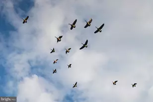 2669 Ocean Gateway, Trappe, MD 21673 - Photo 41