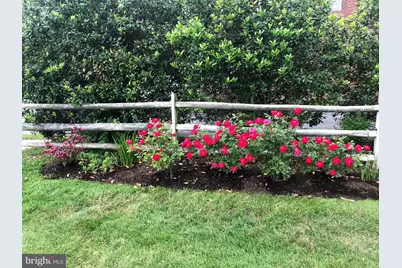 105 Seymour Avenue, Saint Michaels, MD 21663 - Photo 9