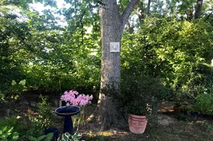 105 Seymour Ave, Saint Michaels, MD 21663 - Photo 29