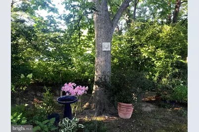 105 Seymour Avenue, Saint Michaels, MD 21663 - Photo 31