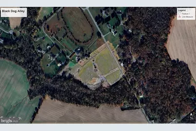 Black Dog Alley, Easton, MD 21601 - Photo 3