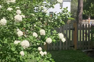 107 W Chestnut St, Saint Michaels, MD 21663 - Photo 95