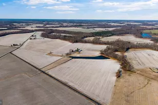 3750 Windy Hill Rd, Trappe, MD 21673 - Photo 7