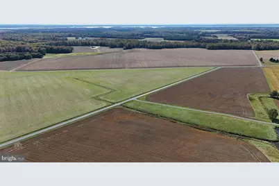 3750 Windy Hill Road, Trappe, MD 21673 - Photo 9