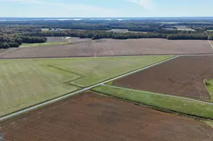 3750 Windy Hill Rd, Trappe, MD 21673 - Photo 9