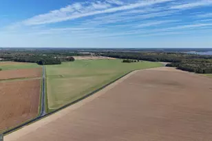 3750 Windy Hill Rd, Trappe, MD 21673 - Photo 19