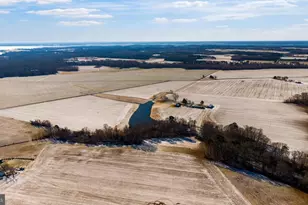 3750 Windy Hill Rd, Trappe, MD 21673 - Photo 3