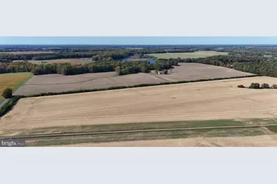 4108 Saulsbury Road, Trappe, MD 21673 - Photo 3