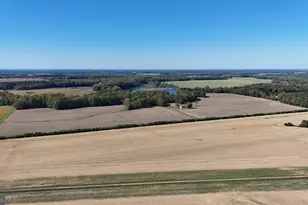 4108 Saulsbury Rd, Trappe, MD 21673 - Photo 3