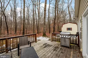 8953 Treesdale Dr, Easton, MD 21601 - Photo 15
