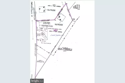 4123 Ocean Gateway, Trappe, MD 21673 - Photo 3