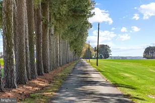 29245 Howell Point Rd, Trappe, MD 21673 - Photo 13