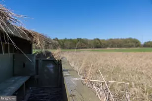 29245 Howell Point Rd, Trappe, MD 21673 - Photo 119