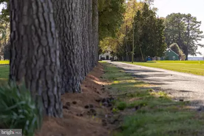 29245 Howell Point Road, Trappe, MD 21673 - Photo 15