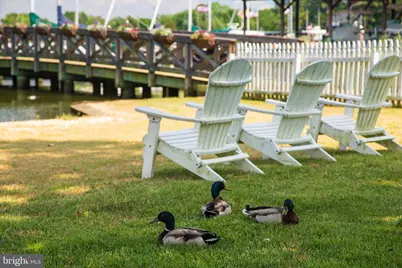 205 Cherry Street, Saint Michaels, MD 21663 - Photo 5