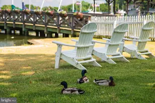 205 Cherry St, Saint Michaels, MD 21663 - Photo 5