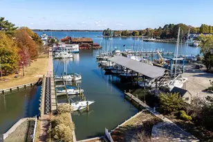 320 Perry Cabin, Saint Michaels, MD 21663 - Photo 39