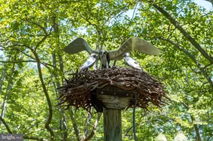 510 Brookletts Ave, Easton, MD 21601 - Photo 25