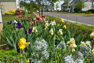 8006 Parrotts Lot Circle, Easton, MD 21601 - Photo 45