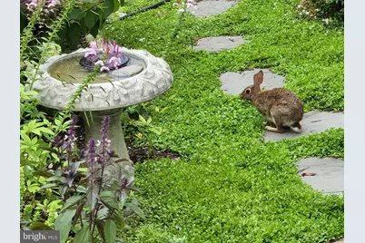 8006 Parrotts Lot Circle, Easton, MD 21601 - Photo 41