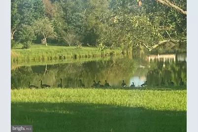 29569 Porpoise Creek Road, Trappe, MD 21673 - Photo 13