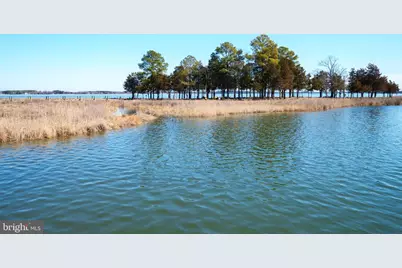 228 Perry Cabin Drive #228 / 226, Saint Michaels, MD 21663 - Photo 77