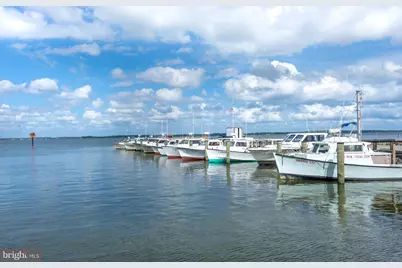 6390 Bozman Neavitt Road, Neavitt, MD 21652 - Photo 39