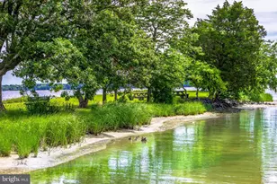 100 Bush, Saint Michaels, MD 21663 - Photo 37