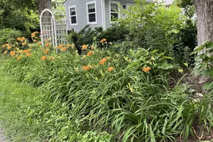 106 Chestnut Street E, Saint Michaels, MD 21663 - Photo 65