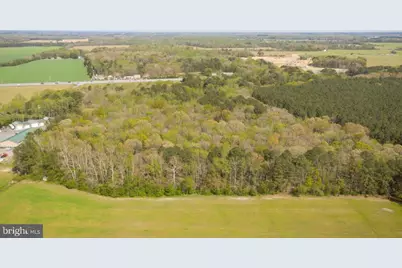 4502 Old Trappe Road, Trappe, MD 21673 - Photo 25