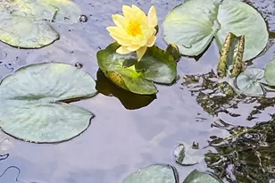 301 Washington Street S, Easton, MD 21601 - Photo 39