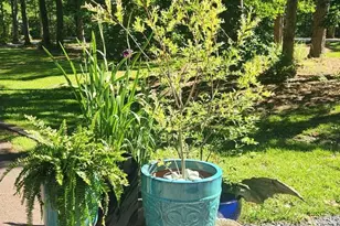 9206 Martingham Dr, Saint Michaels, MD 21663 - Photo 65