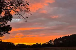 7909 Church Neck, Saint Michaels, MD 21663 - Photo 13