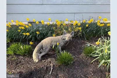 5995 Elston Shore Road, Neavitt, MD 21652 - Photo 39