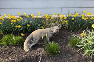 5995 Elston Shore Rd, Neavitt, MD 21652 - Photo 39