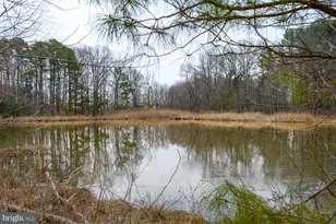 28923 Island Creek Rd, Trappe, MD 21673 - Photo 79