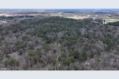 9829 Bantry Road, Easton, MD 21601 - Photo 47