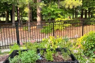 28413 Pinehurst Cir, Easton, MD 21601 - Photo 53