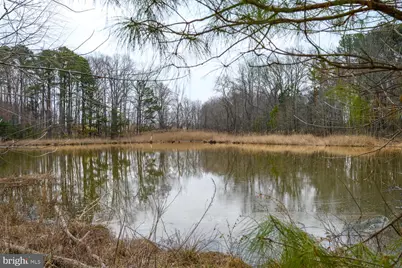 28923 Island Creek Road, Trappe, MD 21673 - Photo 79