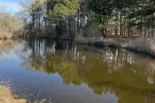 28642 Clubhouse Dr, Easton, MD 21601 - Photo 5