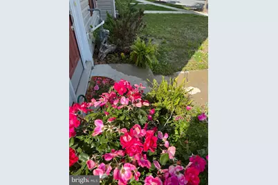 313 Ashby Commons Drive, Easton, MD 21601 - Photo 3