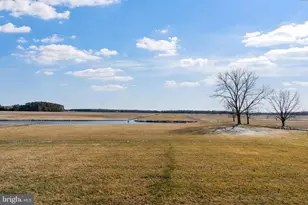3750 Windy Hill Rd, Trappe, MD 21673 - Photo 17