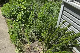 8090 Bozman Neavitt Rd, Bozman, MD 21612 - Photo 33