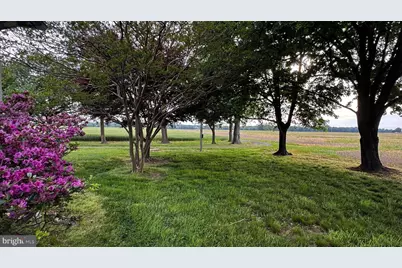 12633 Connelly Road, Cordova, MD 21625 - Photo 15