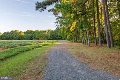 24390 Deep Neck Farm Lane, Royal Oak, MD 21662 - Photo 105